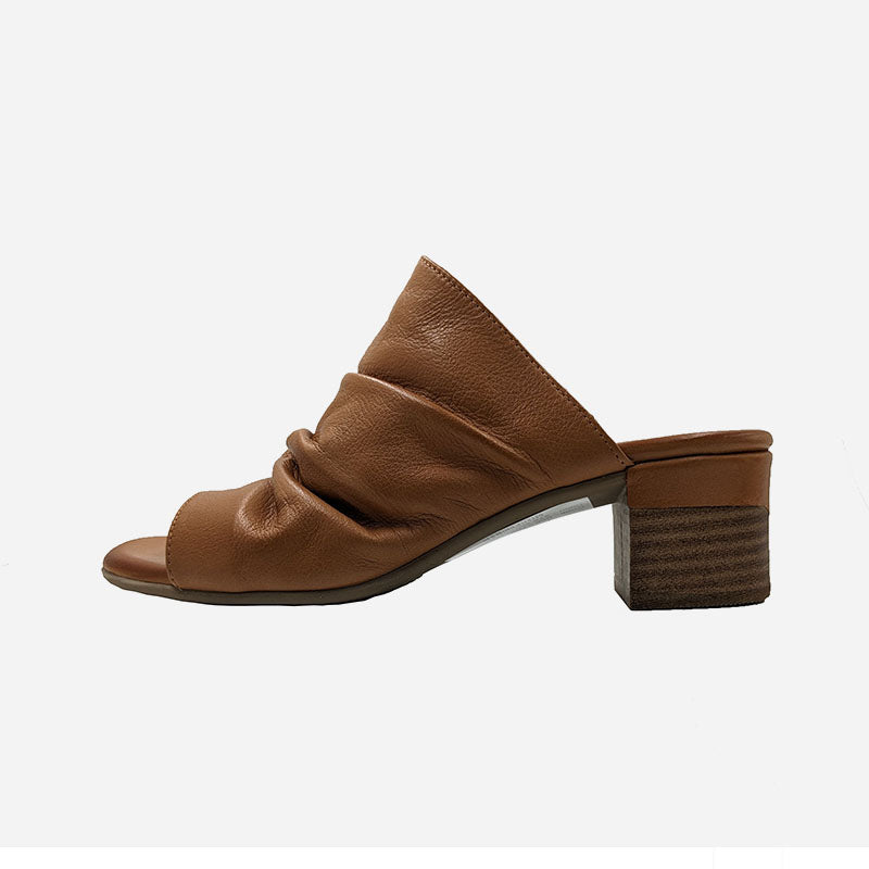 Fox Coco